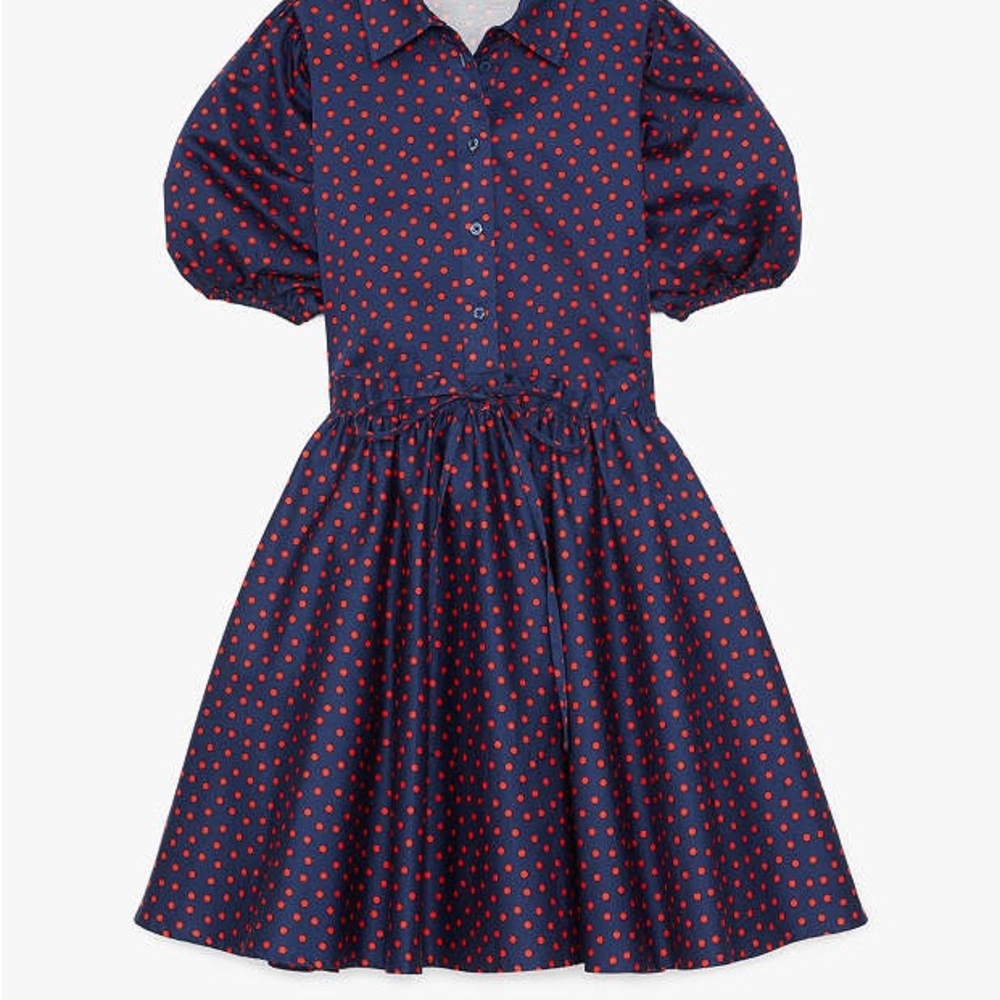Kate Spade Spring Time Dot Millie Dress